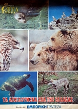 ���� ������ (������ �����������)  �� ����������� ��� ��� ������� (11.383�)