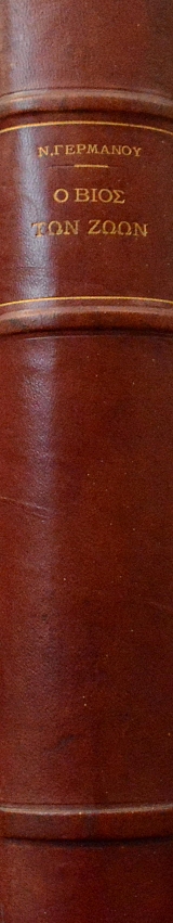 � ���� ��� ���� (33.975�)