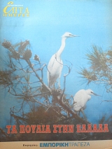 ���� ������ (������ �����������) �� ������ ���� ������ (62.527�)