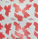 �������� - FASSIANOS  (17.676�)