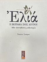 ���� � ��������� ���� ������� ��� ���������� ������� (74.955�)