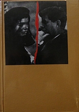     20 - 25  1963    2 (10.041)