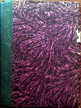 ���� ��� ���� �� ���� (33.870�)