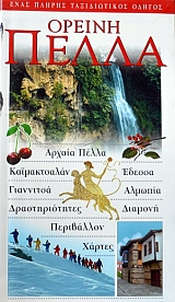 ������ ����� ���� ������ ������������ ������ (38.750�)