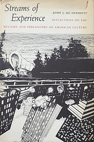 STREAMS OF EXPERIENCE REFLECTIONS ON THE HISTORY AND PHILOSHOPHY OF AMERICAN CULTURE (53.8954)