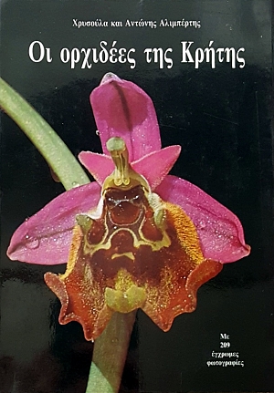 �� �������� ��� ������ (55.105�)