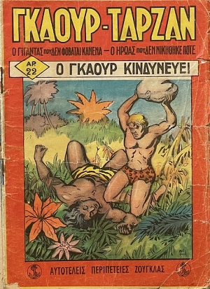 ������ ������ 22 � ������ ���������� (68.813�)