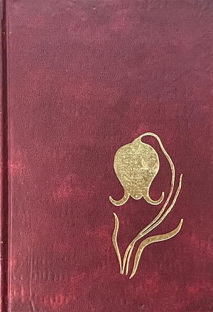     (5065)