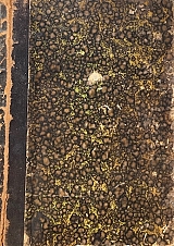 ������� ��� ��������� �������� ���������� ��� ��� ������� ������ ����� ��� ��������� ��� ��������� ��������� ����� � (72.795�)