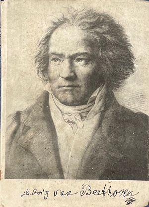 ���� ��� �������� (35.990�)