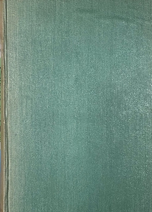 � ���� ��� �� ���� ��� �����. ������  (8528�)