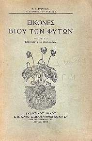 ������� ���� ��� �����  (13.182�)