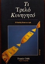 �� ����� �������� (6597�)