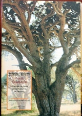 ����� ��������� � �������� ��� ����� ������ ��������� ��� ��������� (33.881�)