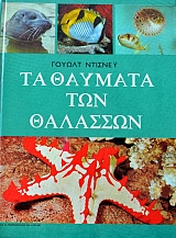 �� ������� ��� �������� (37.510�)