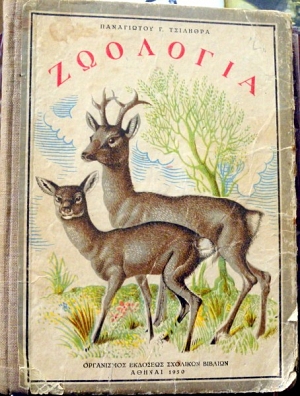      (8772)