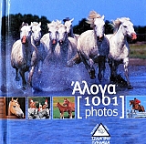 ����� 1001 PHOTOS (38.402�)